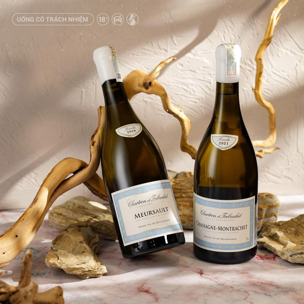 Rượu Vang Pháp Chartron et Trébuchet Meursault 2020