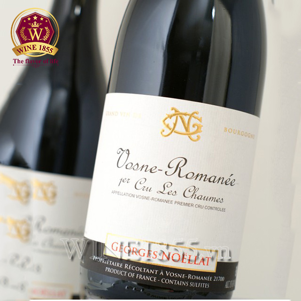 Rượu Vang Pháp Georges Noellat Vosne-Romanée - Từ trái tim Burgundy đến từng giọt rượu.