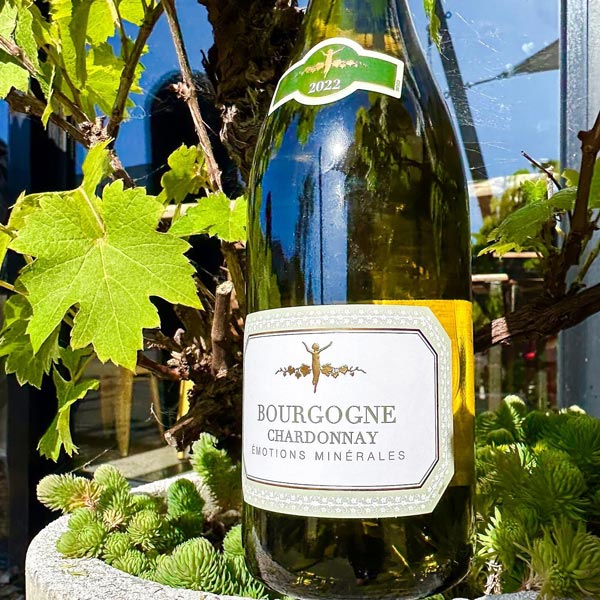 Rượu vang Pháp La Chablisienne Bourgogne Chardonnay