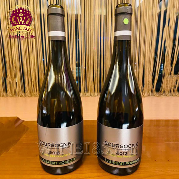 Laurent Ponsot – Khi sự tinh tế bắt đầu từ Bourgogne.