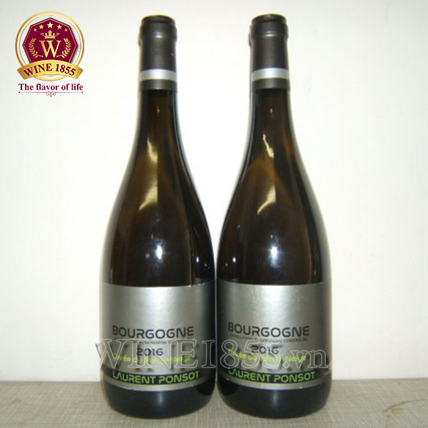 Laurent Ponsot – Di sản vang Burgundy sống động qua thời gian.