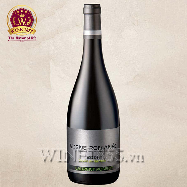 Vosne-Romanée – Nơi mọi giọt vang đều mang hương yêu.