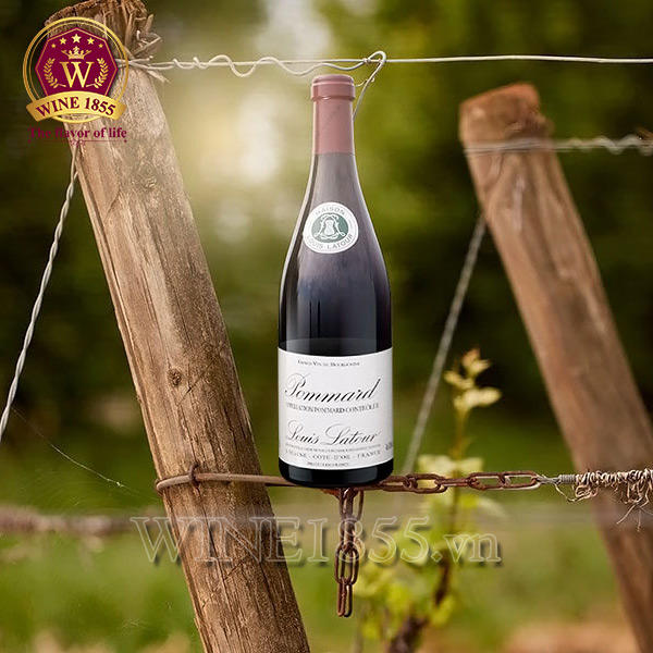 Louis Latour Pommard – Vị vang cho những tâm hồn trưởng thành.