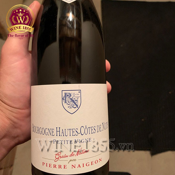 Thưởng thức Petite Vigne – cảm nhận làn gió mát từ đồi nho.