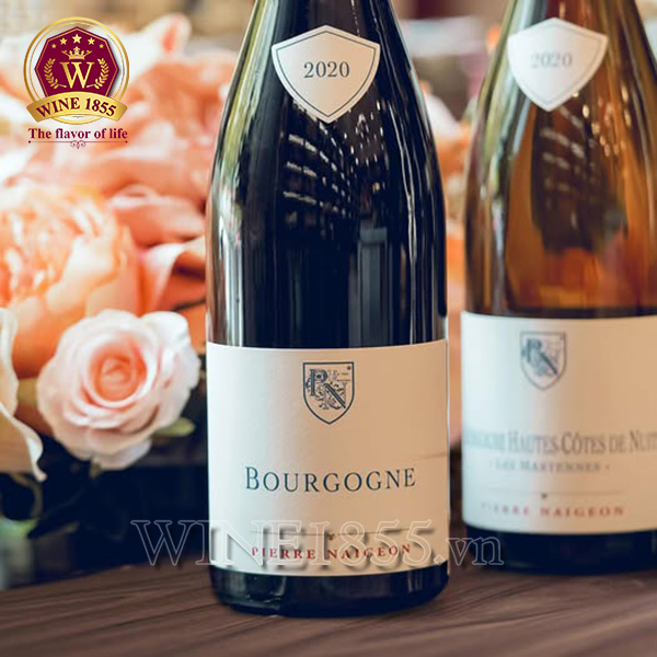 Thưởng thức Pinot Noir – cảm nhận Burgundy trong lòng bàn tay.