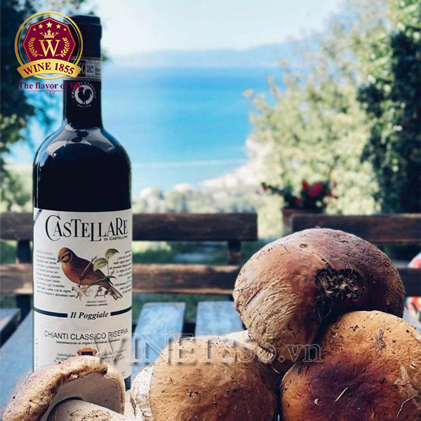 Rượu Vang Castellare Di Castellina Chianti Classico Riserva Il Poggi - Từ vườn nho nước Ý, đến bàn tiệc sang trọng.