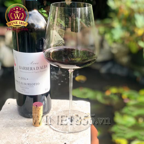 Aves Barbera D’alba – Sự lựa chọn của những tâm hồn sành điệu.