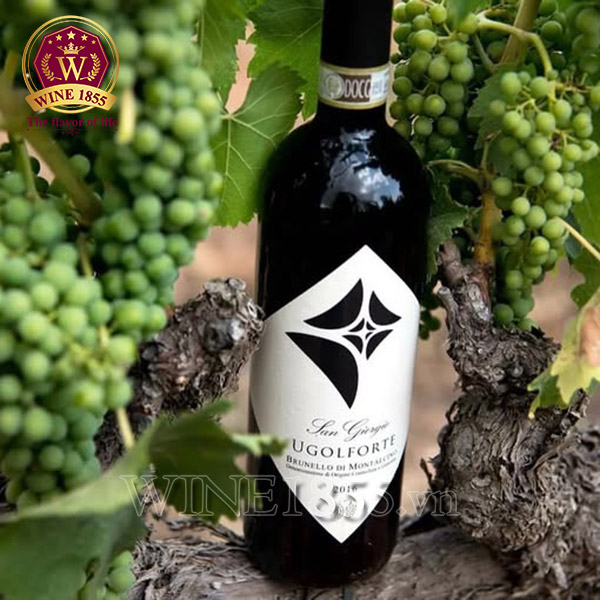 Rượu Vang Ý San Giorgio Ugolforte Brunello Di Montalcino - Hương vị vượt thời gian.