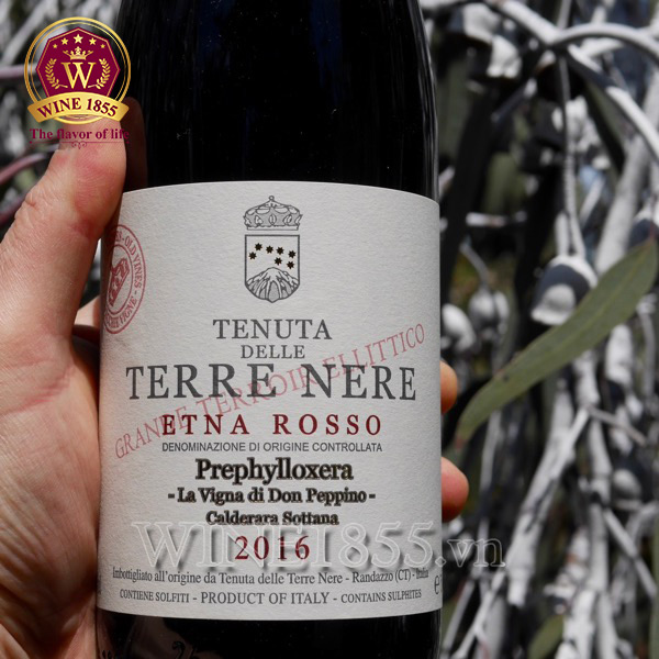 Rượu vang Ý Terre Nere Etna Rosso Calderara Sottana Prephylloxera “La Vigna di Don Peppino”
