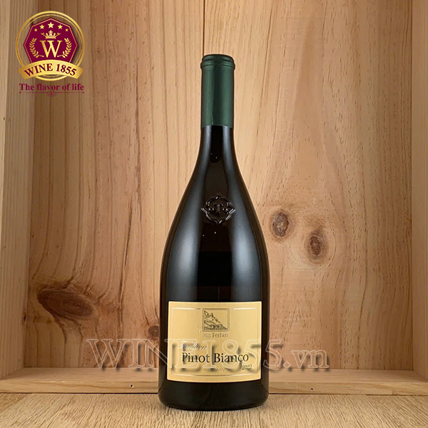 Pinot Bianco – Hương vị của sự thanh lịch.