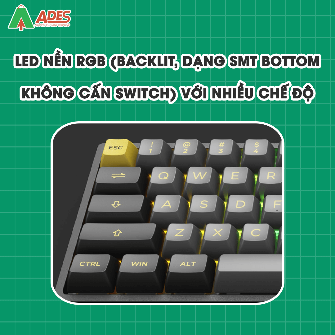 AKKO 3068B Multi-modes Black Gold