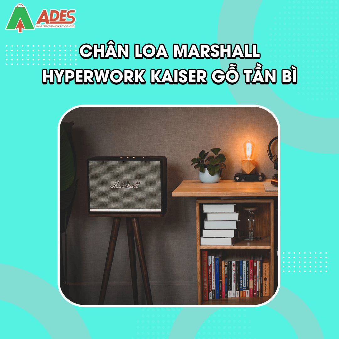 Chan loa Kaiser Hyperwork