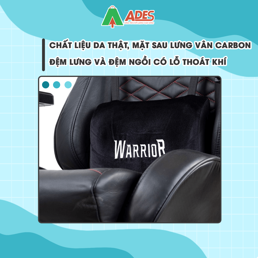 Warrior Maiden Series WGC309
