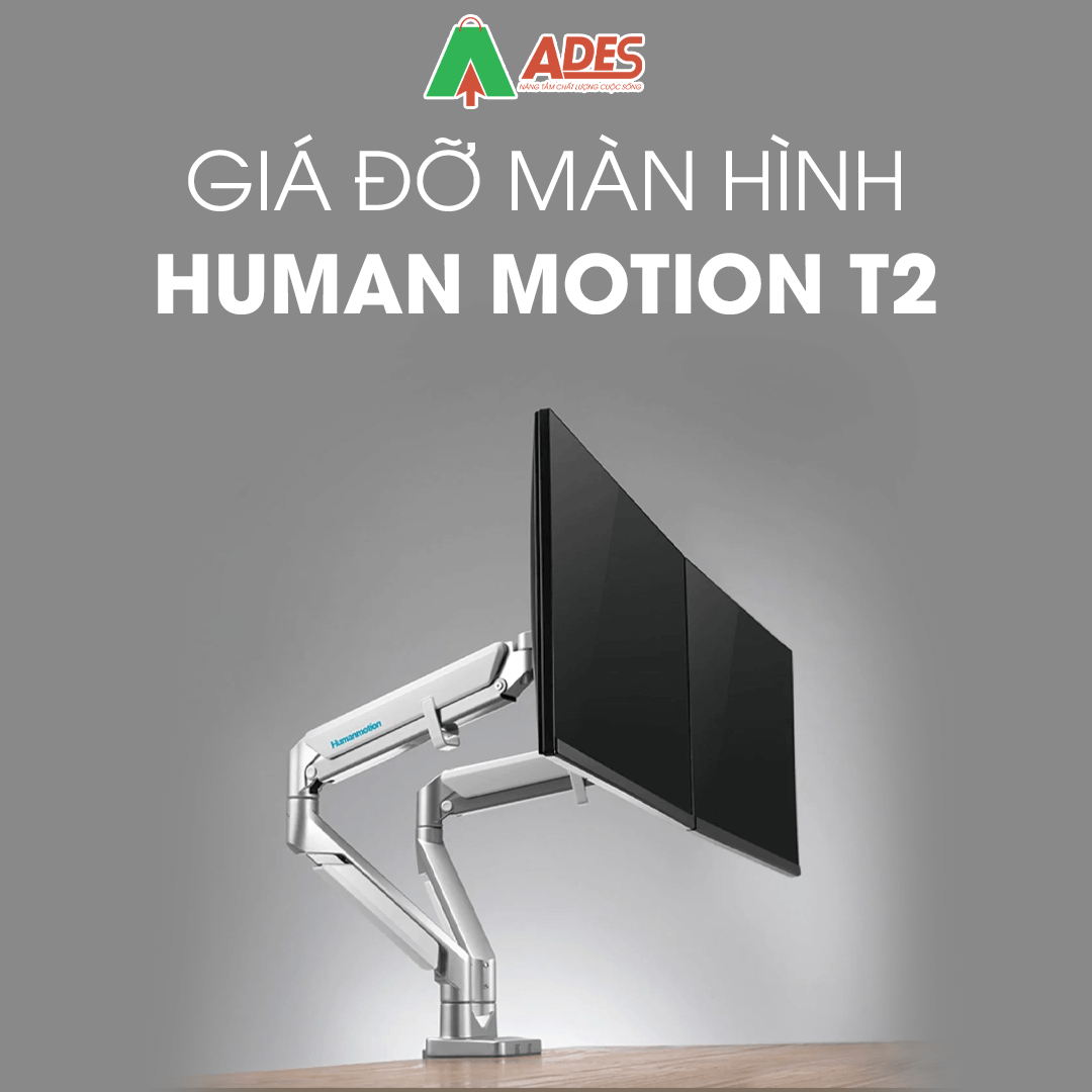 Human Motion T2-1