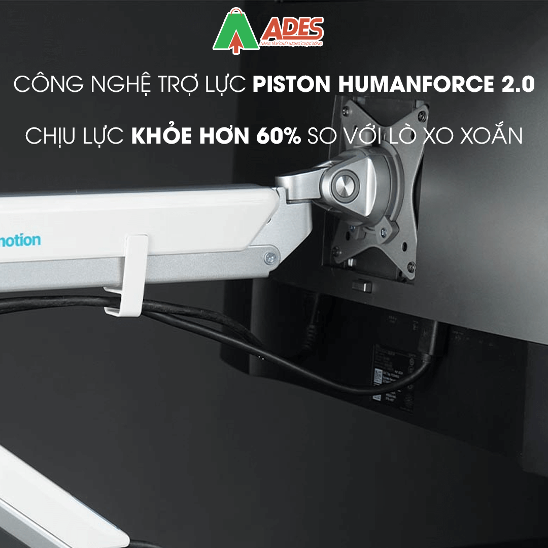 Human Motion T2-1U