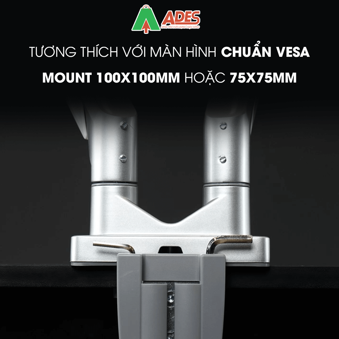Human Motion T2-2