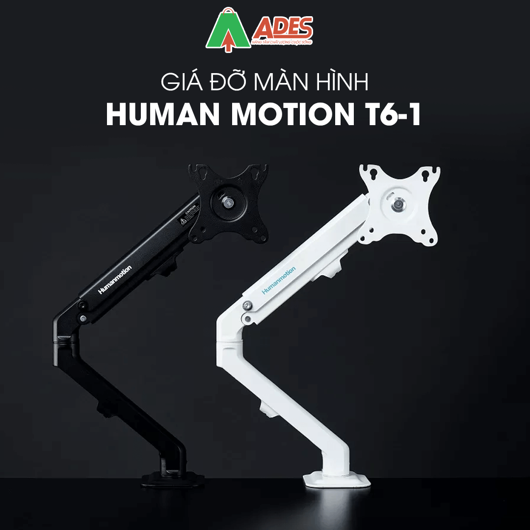 Human Motion T6-1