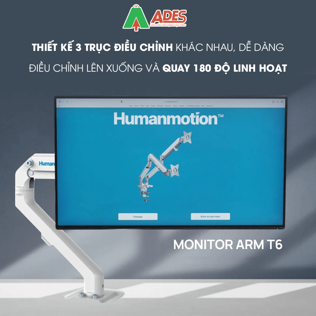 Human Motion T6-1