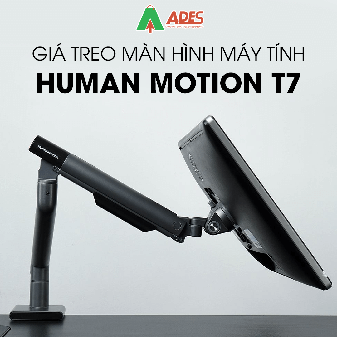 Human Motion T7
