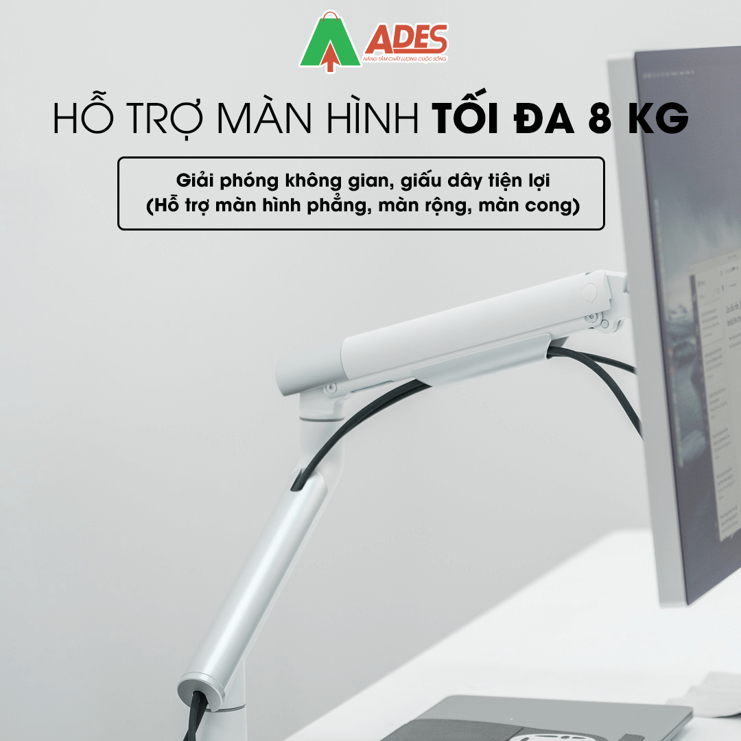 Human Motion T7