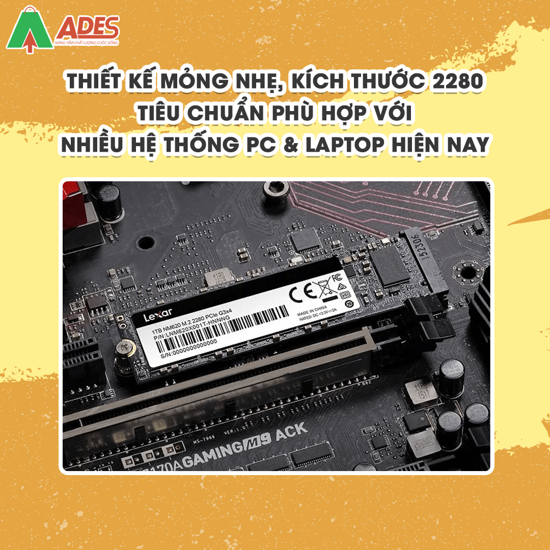 SSD Lexar LNM620 1TB M.2 2280 NVME (LNM620X001T-RNNNG)