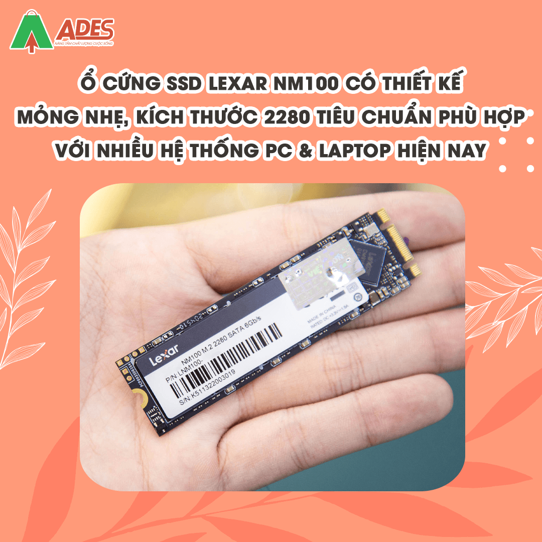 SSD Lexar NM100 256GB M.2 2280 (LNM100-256RB)