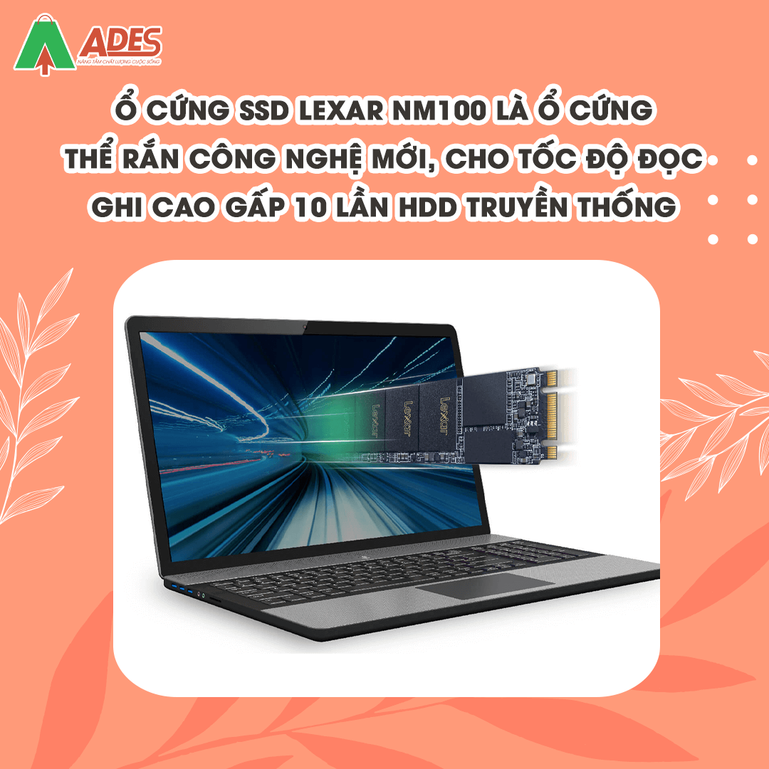 SSD Lexar NM100 256GB M.2 2280 (LNM100-256RB)