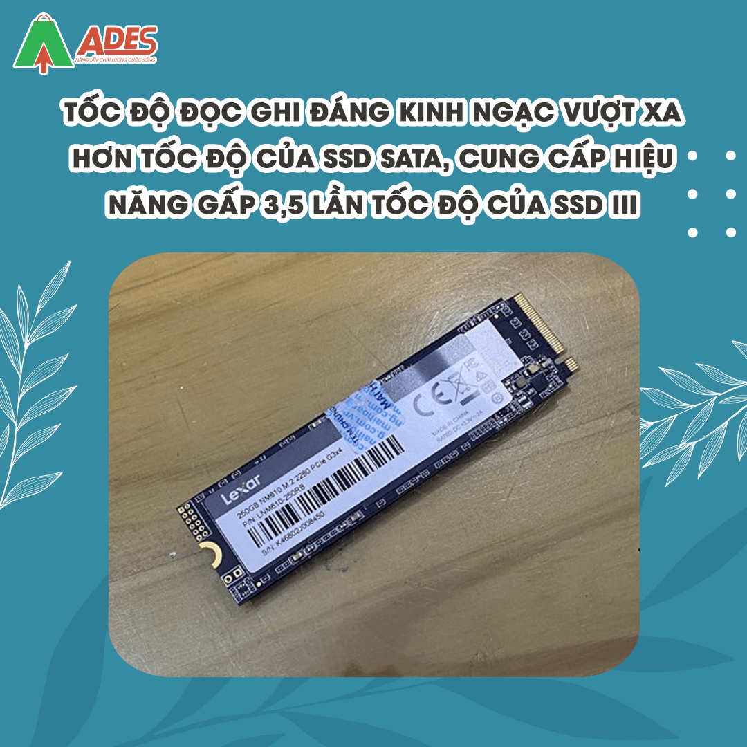 SSD Lexar NM610 M.2 PCIe Gen3 x4 NVMe 250GB (LNM610-250RB)