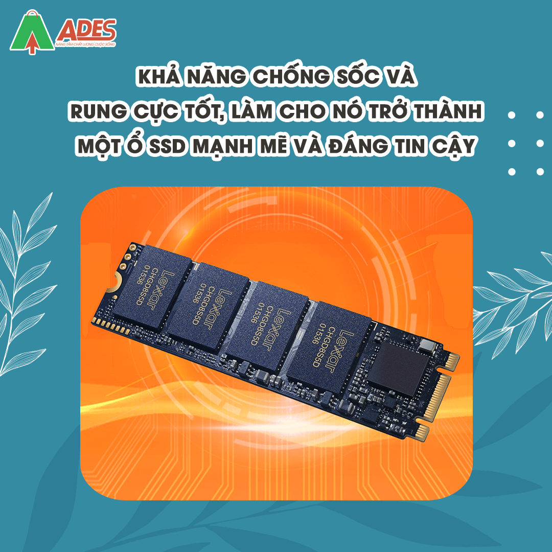 SSD Lexar NM610 M.2 PCIe Gen3 x4 NVMe 250GB (LNM610-250RB)