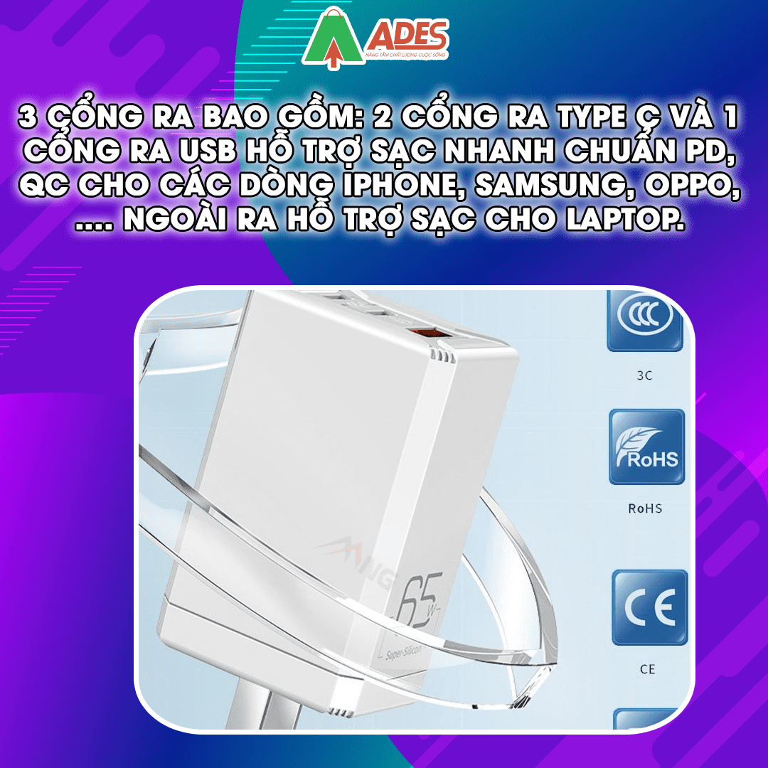 Cu sac nhanh mini Rockspace T49 65W