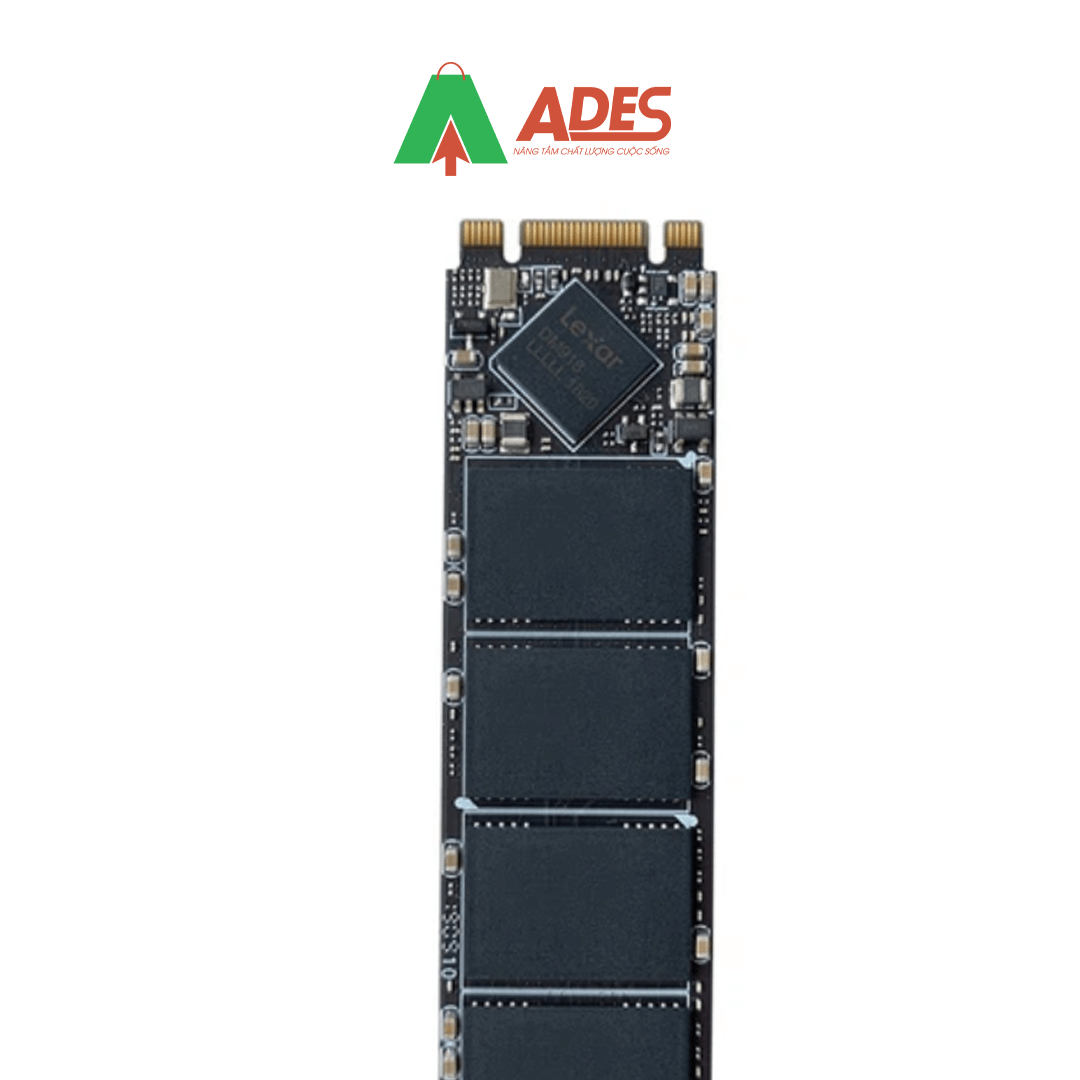 SSD Lexar NM100 512GB M.2 2280 Sata III (LNM100-512RB)