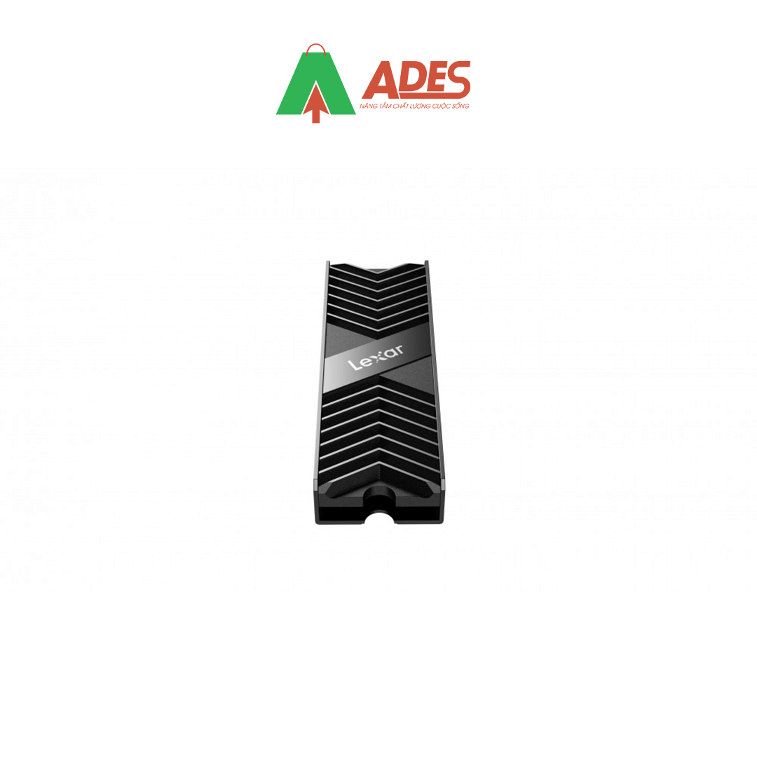 LEXAR NVME LPAH100-RNBNG