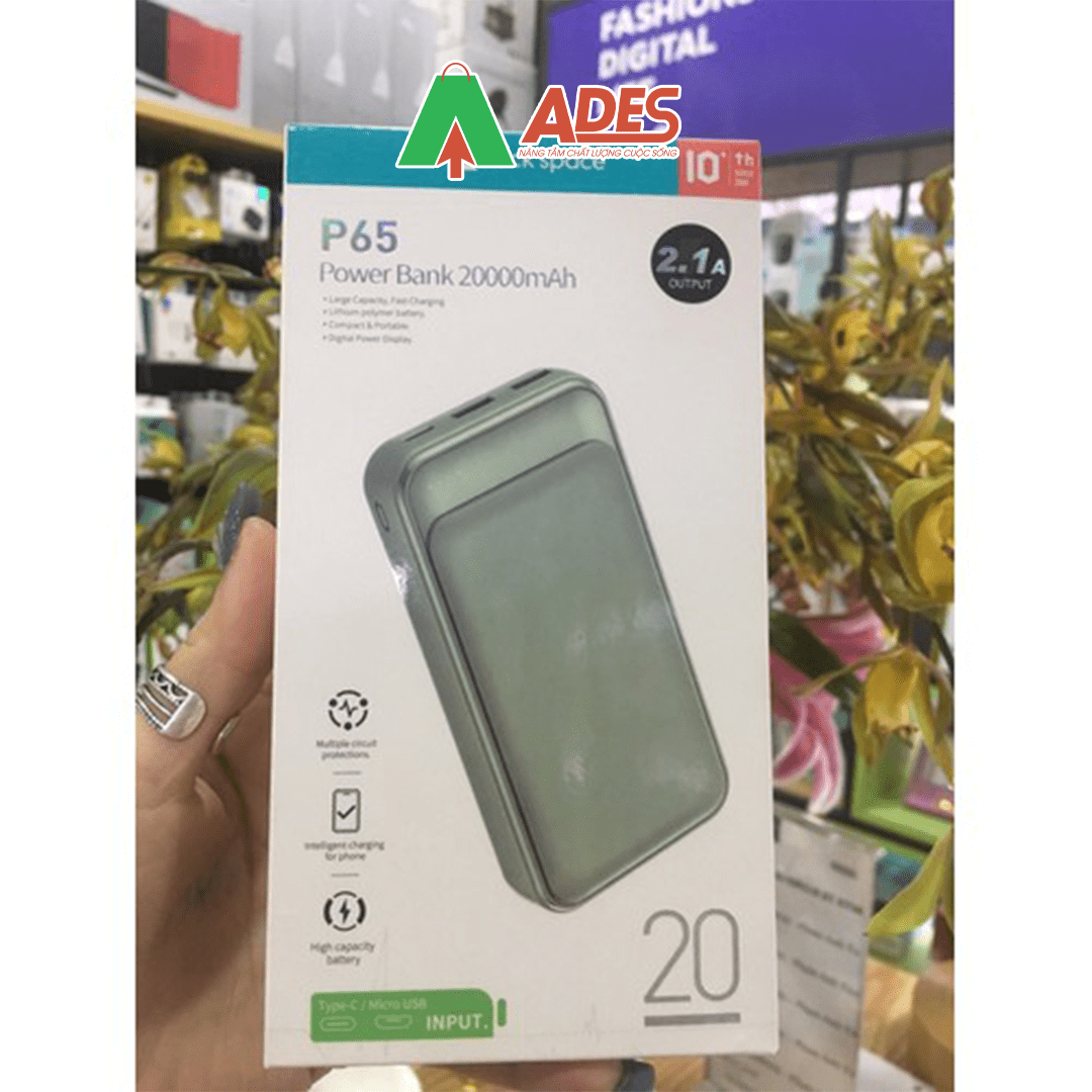 Pin sac du phong Rockspace P65