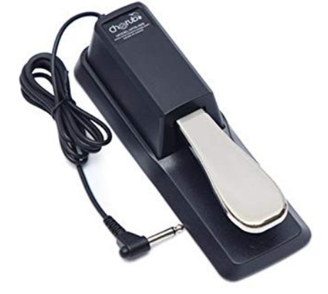 Pedal piano đa chiều