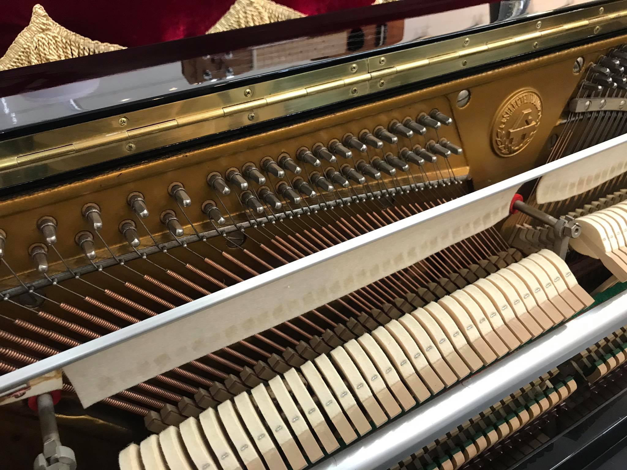 Piano Kriebel TK88 - ST Music