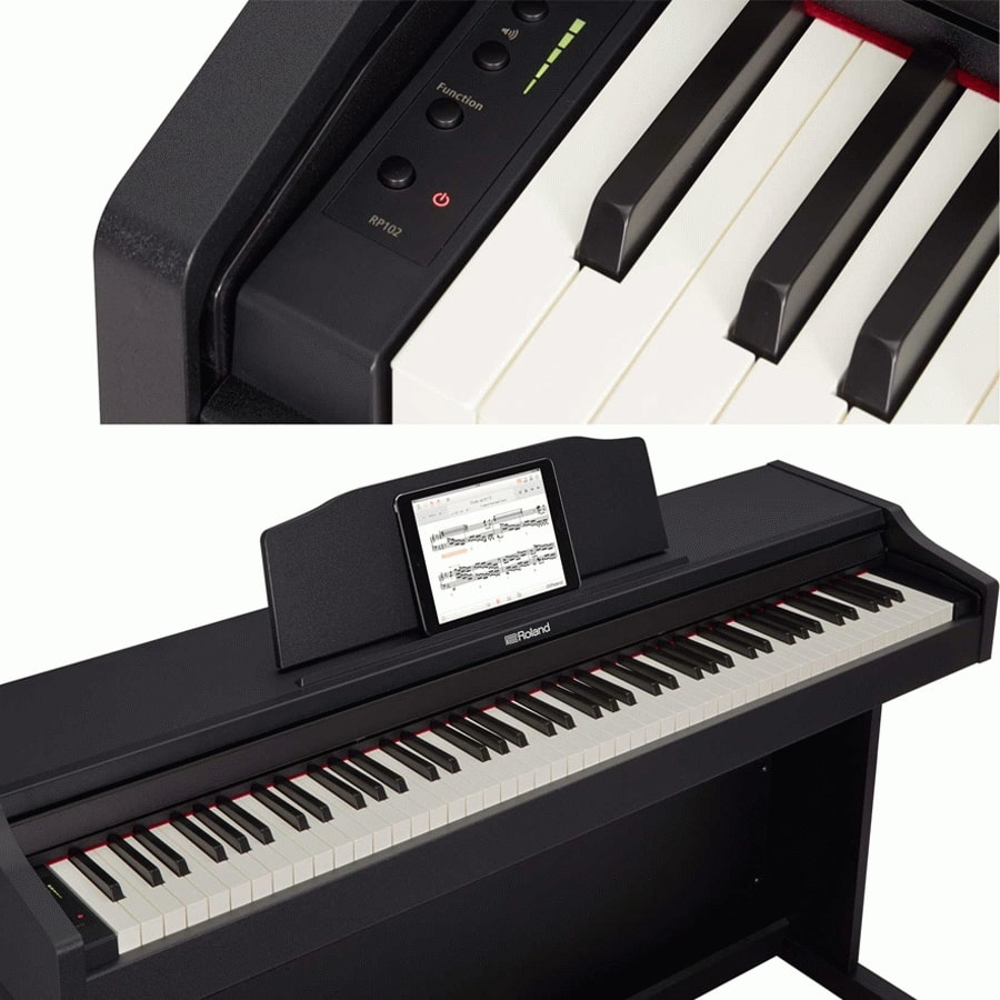 Roland RP102