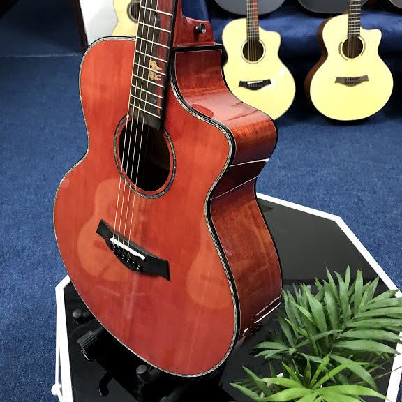 Guitar Takla M580