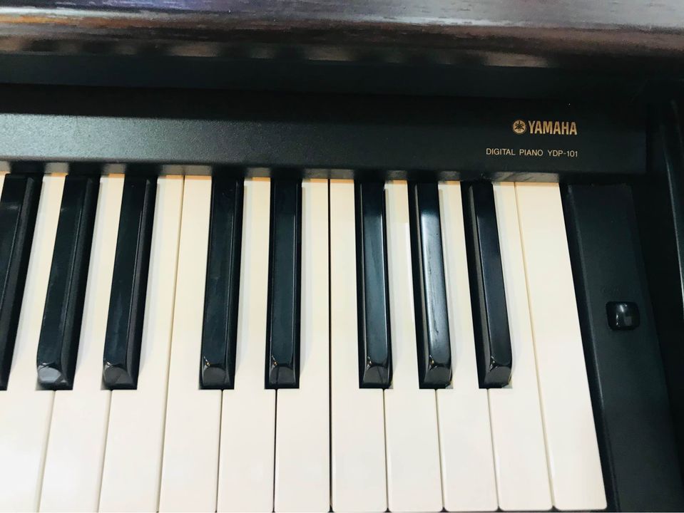 yamaha-ydp-101-st-music