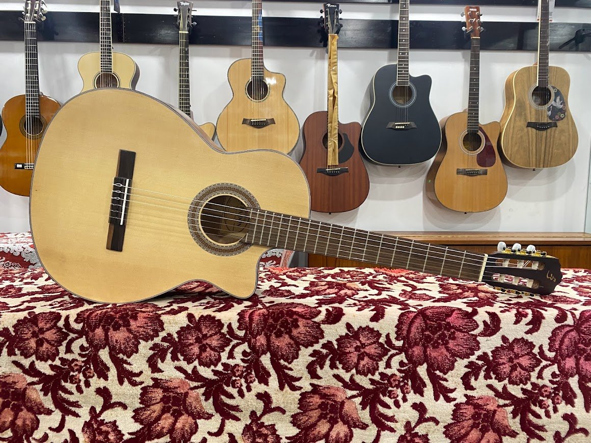 Đàn Guitar Classic C-170