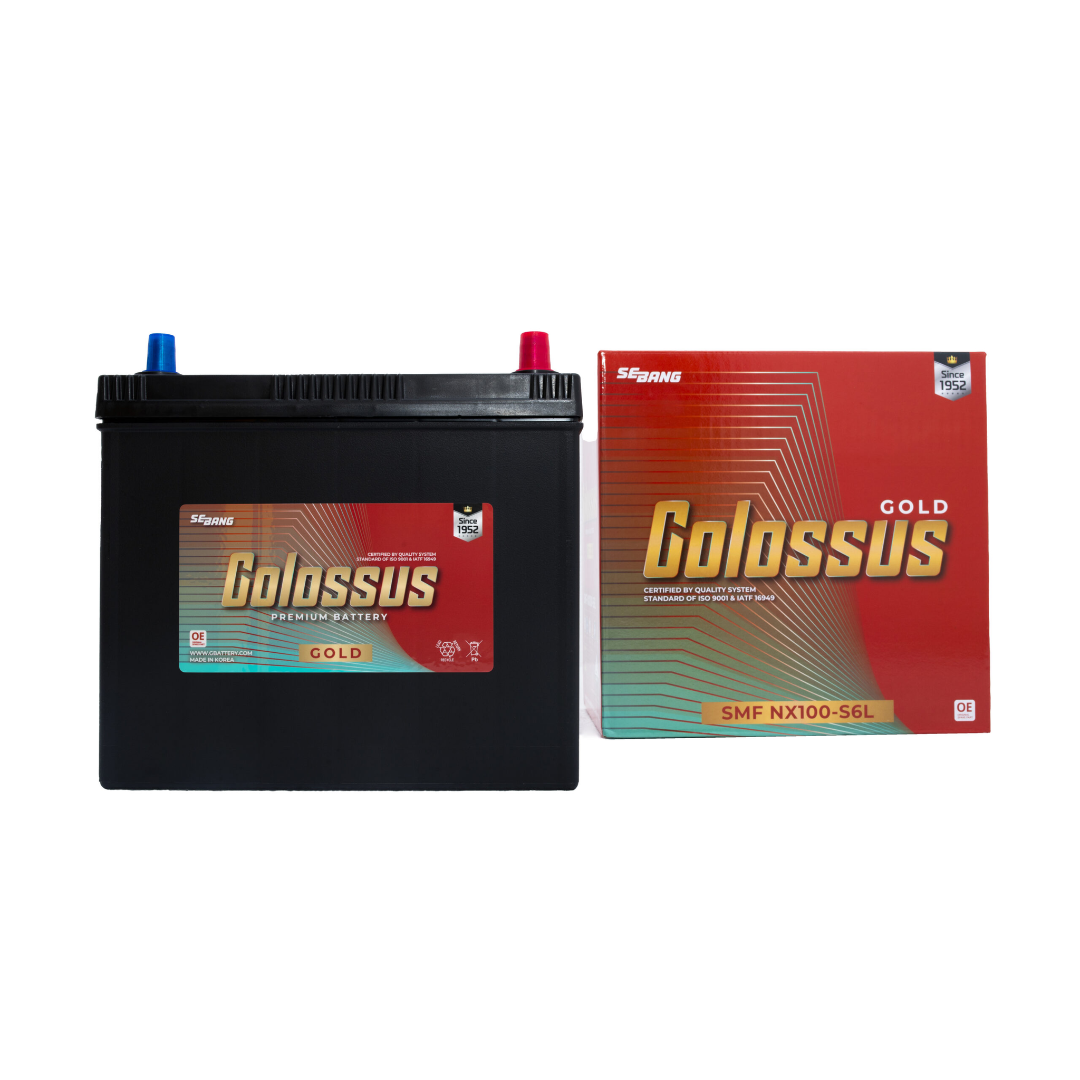 ac-quy-colossus-smf-nx100-s6l-12v-45ah