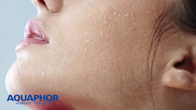 Công nghệ và Ứng dụng của Bộ Lọc Nước Tại Vòi AQUAPHOR MODERN