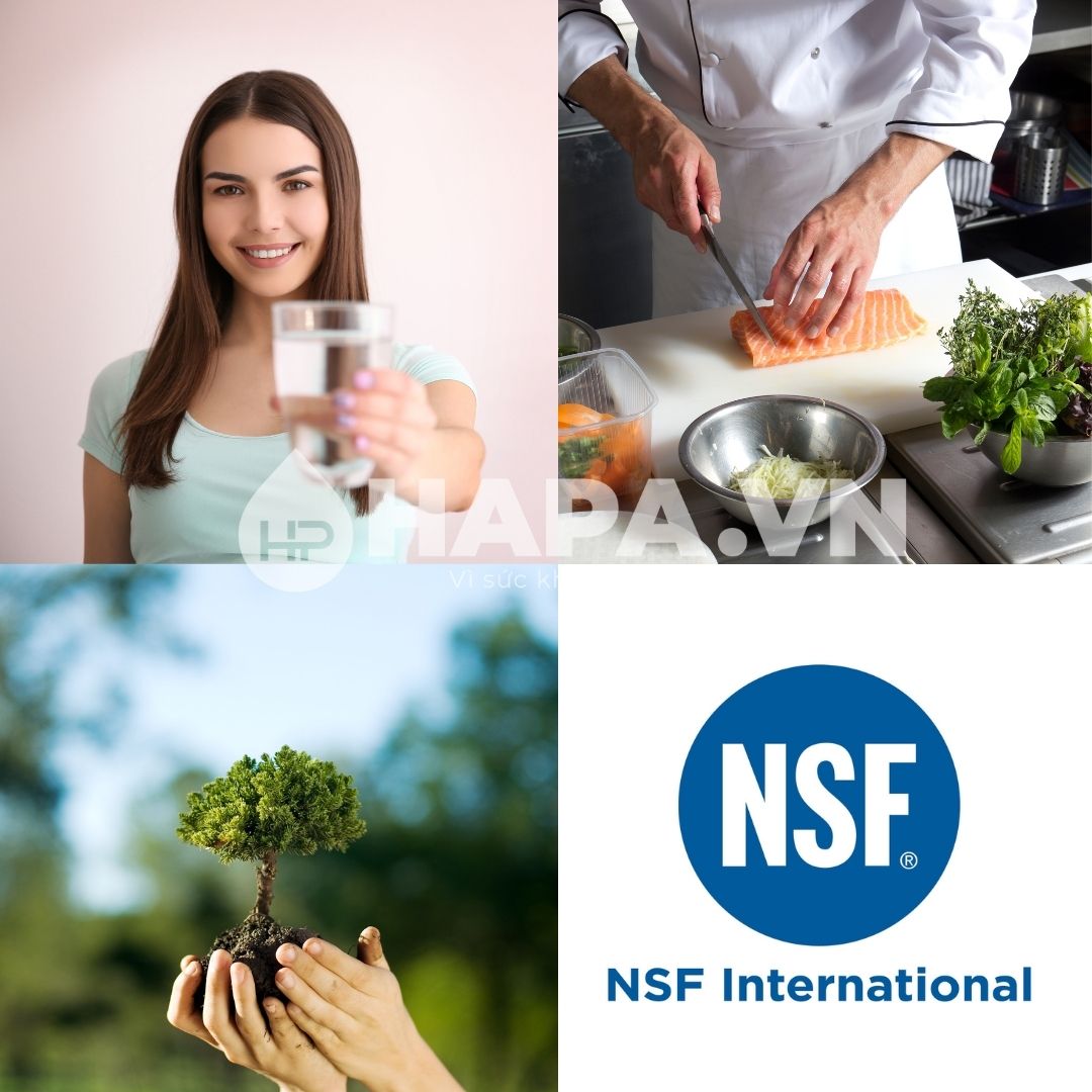 Tiêu chuẩn NSF là gì?