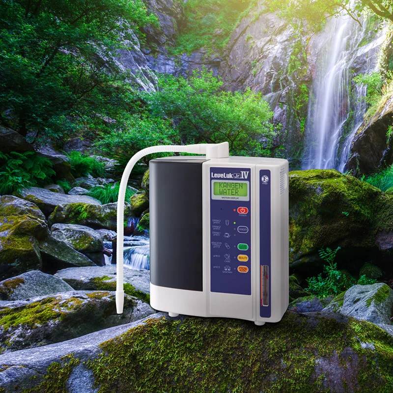 Những Nguồn Giàu Chất Chống Oxy Hóa Cung Cấp Cho Cơ Thể