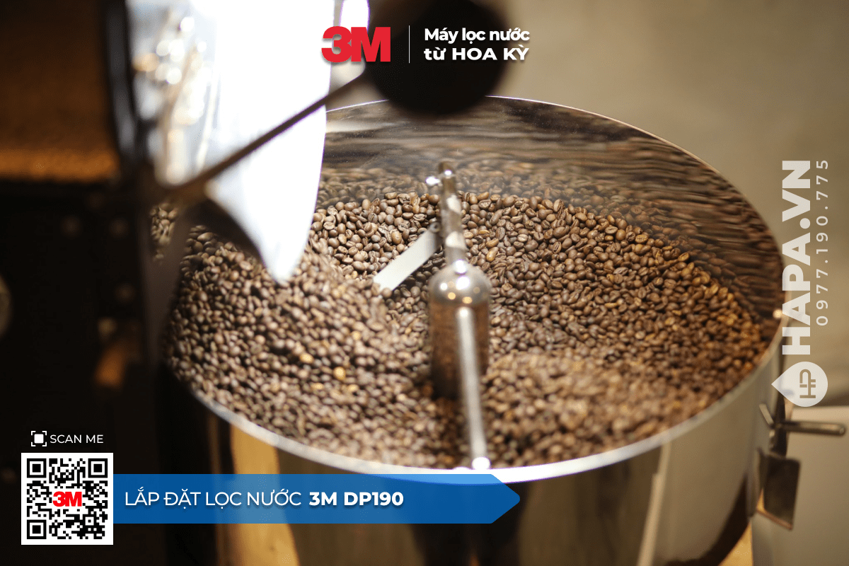 Hình ảnh thực tế Lắp Đặt Máy Lọc Nước 3M DP190 tại Trạm Rang Cà Phê, Quận 2, TP HCM - 06