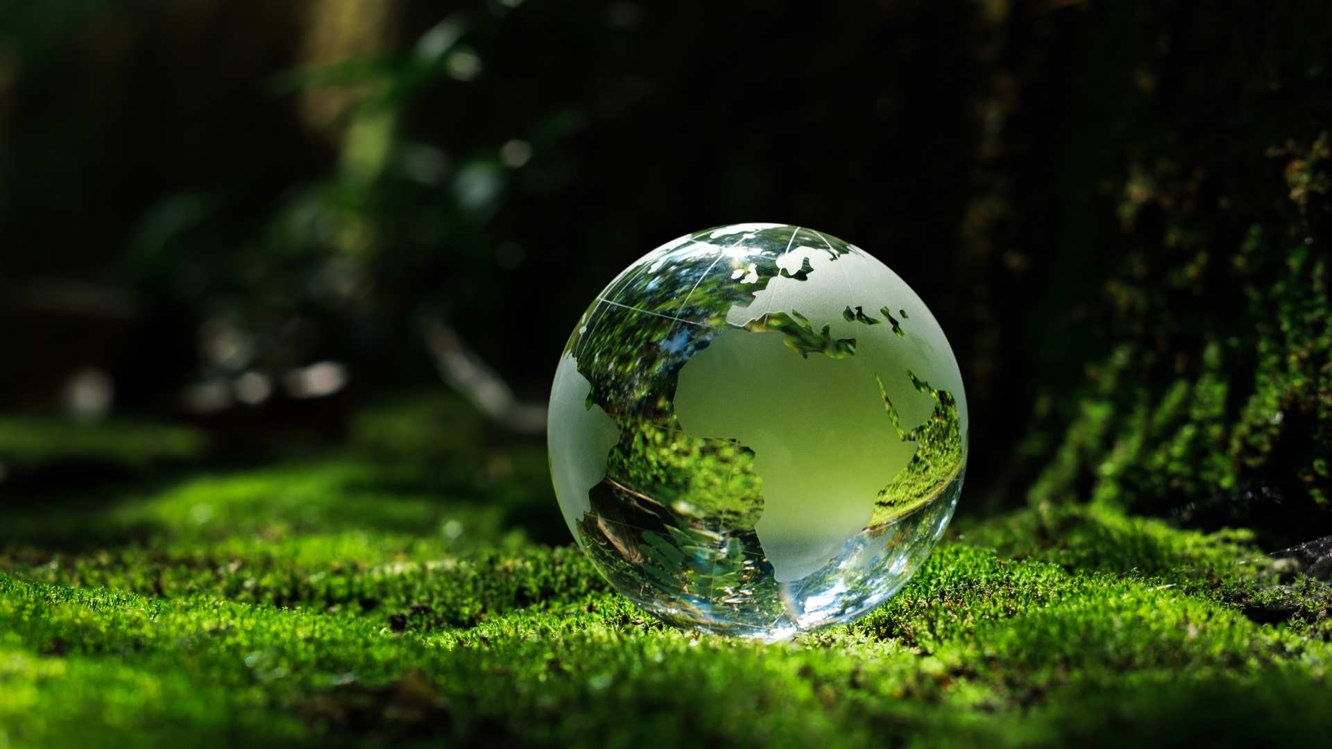 trụ cột môi trường trong bộ tiêu chuẩn ESG