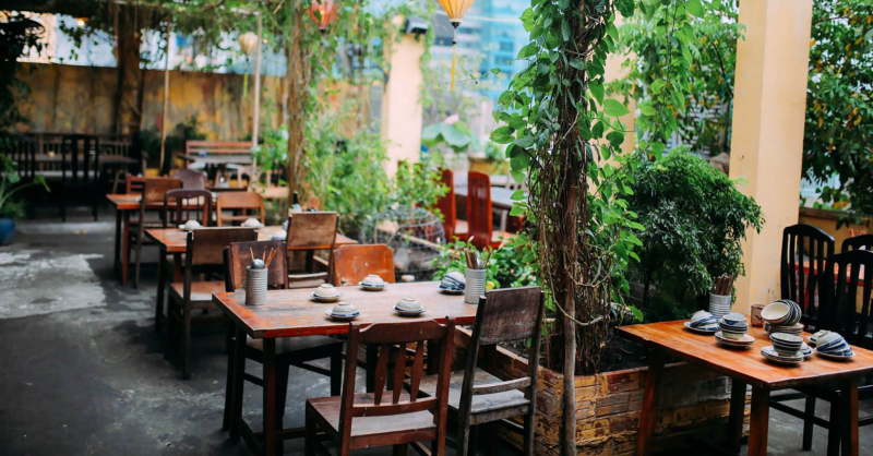 Lựa chọn những loại cây cảnh trang trí phù hợp với nhà hàng