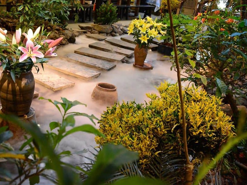 Lựa chọn loại cây phù hợp cho nhà hàng