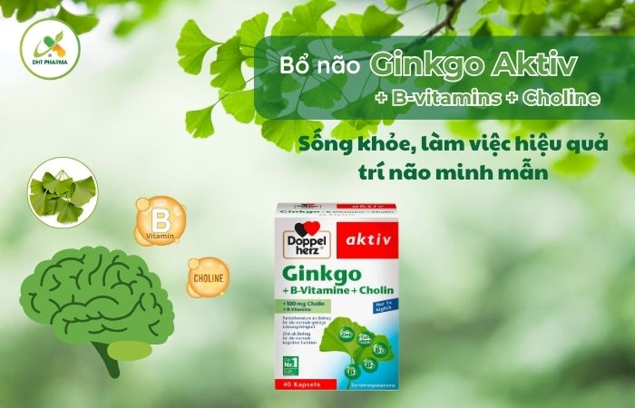 Ginkgo Aktiv