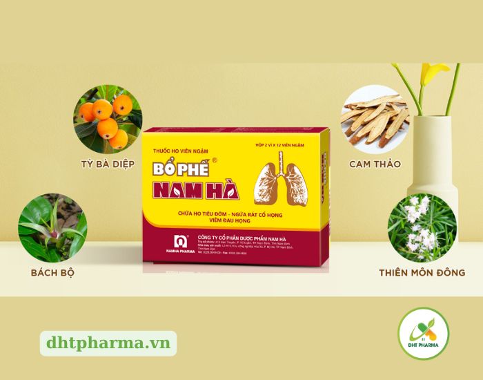 Viên Ngậm Bổ Phế Nam Hà