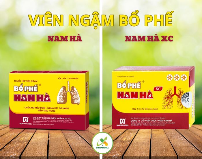 Viên Ngậm Bổ Phế Nam Hà